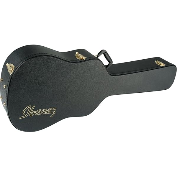 Amazon.com: Ibanez GA50C Hardshell Case : Musical Instruments